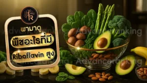 พืชอะไรที่มี Riboflavin สูง