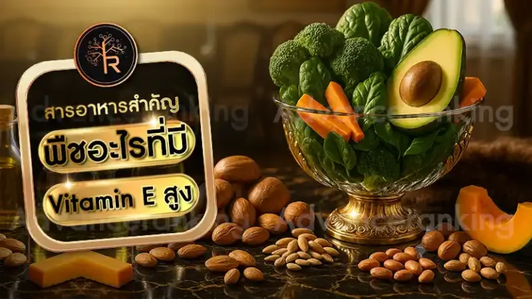 พืชอะไรที่มี Vitamin E สูง