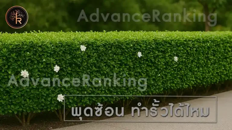 พุดซ้อน ทำรั้วได้ไหม