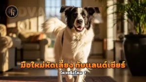 มือใหม่หัดเลี้ยง กับแลนด์เซียร์