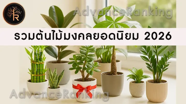 รวมต้นไม้มงคลยอดนิยม 2026