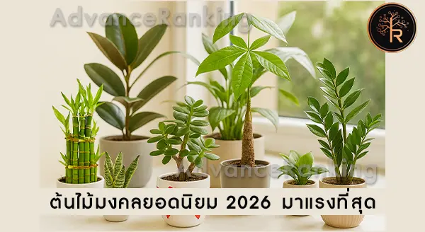 รวมต้นไม้มงคลยอดนิยม 2026