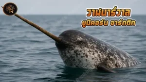 วาฬนาร์วาล ยูนิคอร์น อาร์กติก