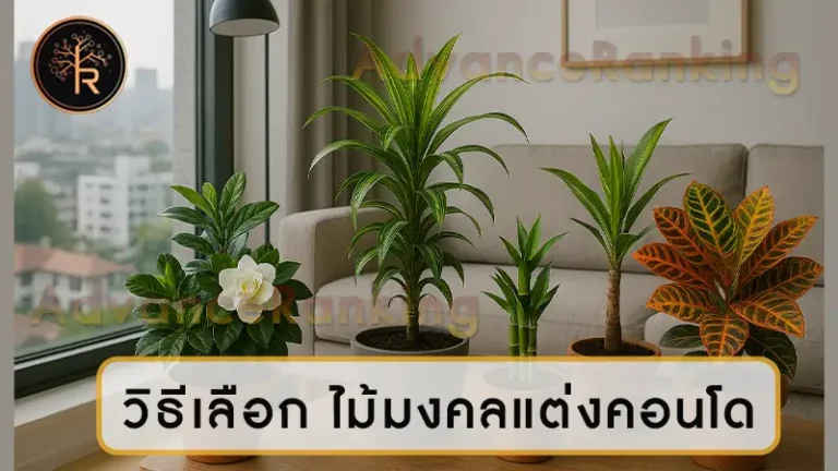 วิธีเลือก ไม้มงคลแต่งคอนโด