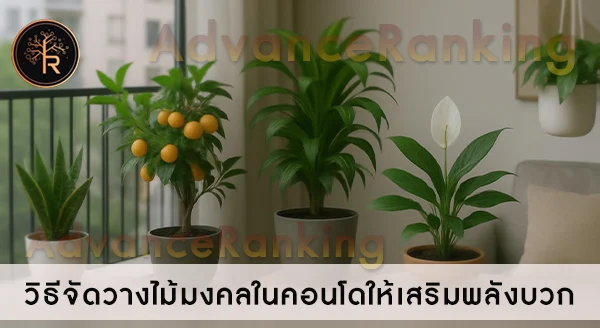 วิธีเลือก ไม้มงคลแต่งคอนโด