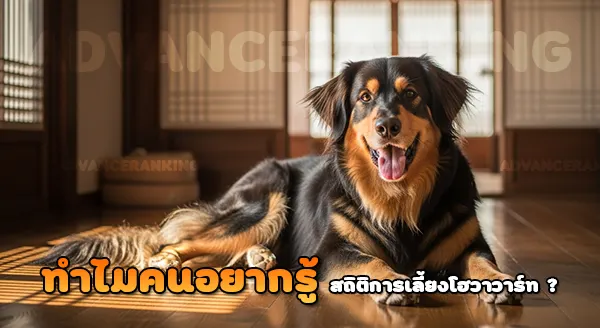 สถิติการเลี้ยง โฮวาวาร์ท ในบ้าน