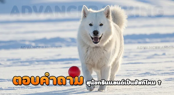 สุนัขกรีนแลนด์ เป็นฮัสกีไหม