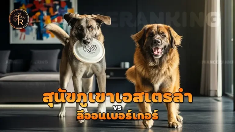 สุนัขภูเขาเอสเตรล่า vs ลีออนเบอร์เกอร์