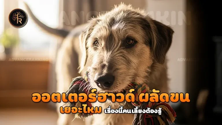 ออตเตอร์ฮาวด์ ผลัดขนเยอะไหม