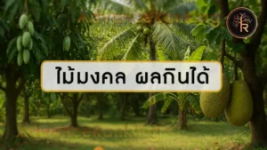 ไม้มงคล ผลกินได้