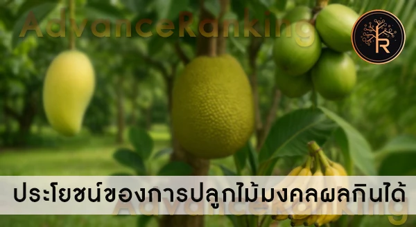 ไม้มงคล ผลกินได้