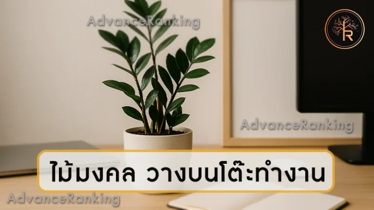 ไม้มงคล วางบนโต๊ะทำงาน