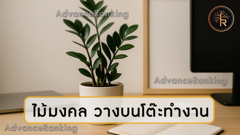 ไม้มงคล วางบนโต๊ะทำงาน