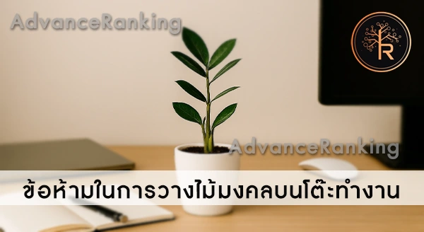 ไม้มงคล วางบนโต๊ะทำงาน