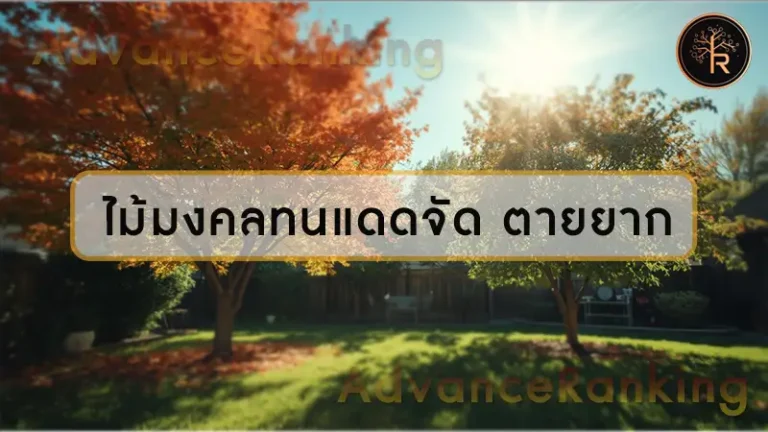 ไม้มงคลทนแดดจัด ตายยาก