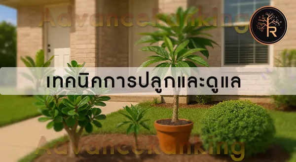 ไม้มงคลปลูกง่าย สำหรับมือใหม่