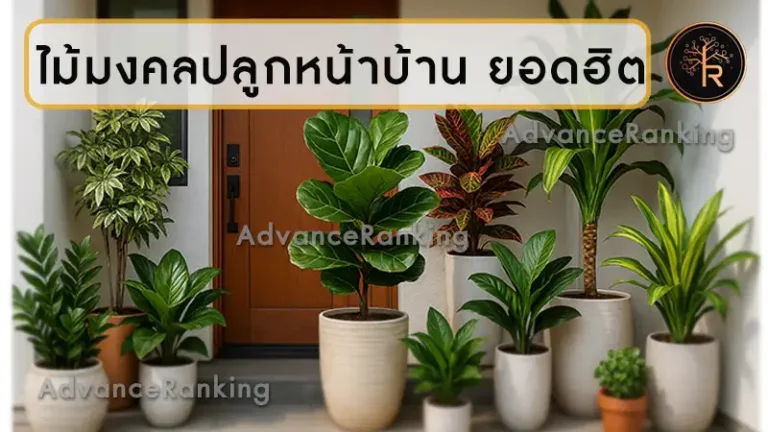 ไม้มงคลปลูกหน้าบ้าน ยอดฮิต