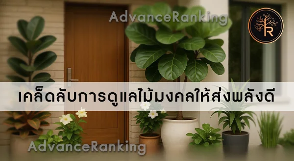 ไม้มงคลปลูกหน้าบ้าน ยอดฮิต