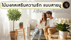 ไม้มงคลเสริมความรัก แบบสายมู