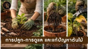 การปลูก-การดูแล และแก้ปัญหาต้นไม้