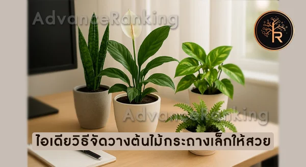 ต้นไม้กระถางเล็ก ดูแลง่าย