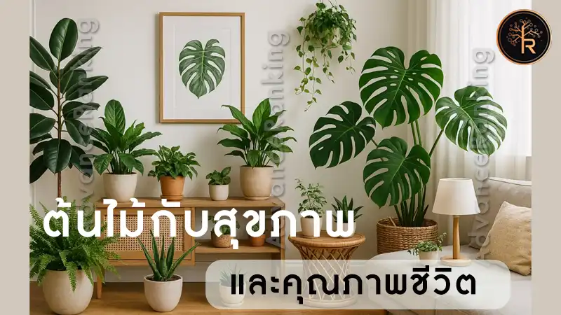 ต้นไม้กับสุขภาพ และคุณภาพชีวิต