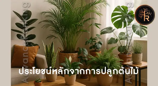 ต้นไม้กับสุขภาพ และคุณภาพชีวิต