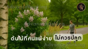 ต้นไม้ที่คนแพ้ง่าย ไม่ควรปลูก