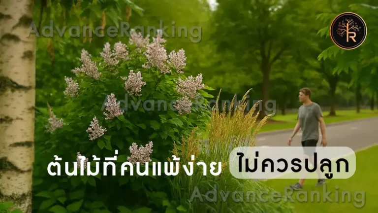 ต้นไม้ที่คนแพ้ง่าย ไม่ควรปลูก