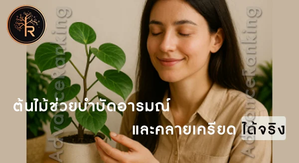 ต้นไม้บำบัดอารมณ์ และคลายเครียด