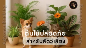 ต้นไม้ปลอดภัย สำหรับสัตว์เลี้ยง
