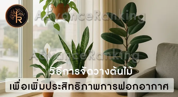 ต้นไม้ฟอกอากาศลดฝุ่น PM 2.5