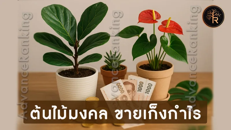 ต้นไม้มงคล ขายเก็งกำไร