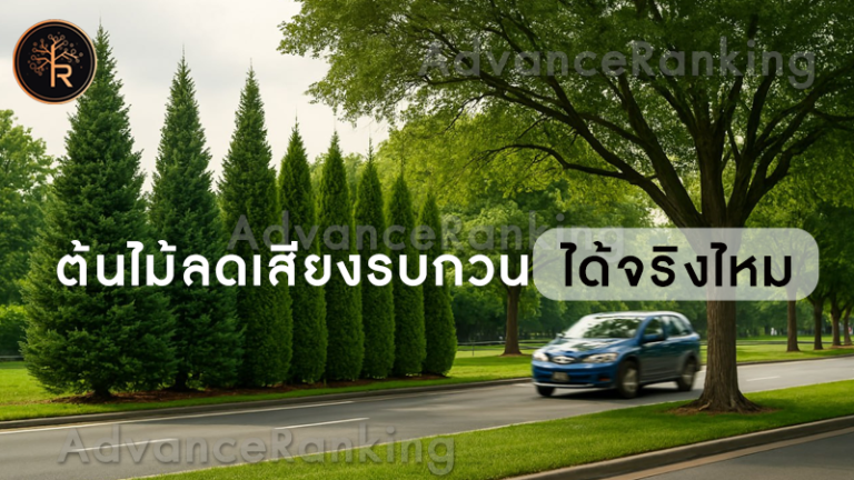 ต้นไม้ลดเสียงรบกวน ได้จริงไหม