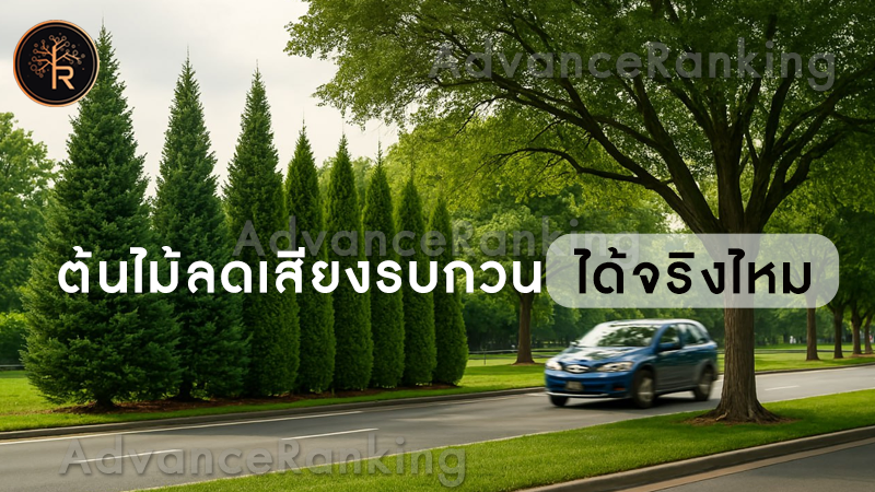 ต้นไม้ลดเสียงรบกวน ได้จริงไหม