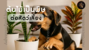 ต้นไม้เป็นพิษ ต่อสัตว์เลี้ยง