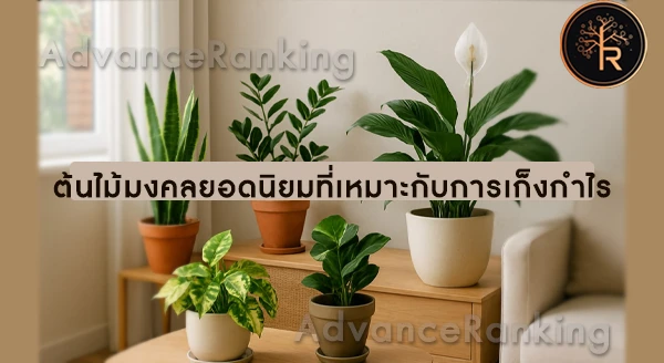 ต้นไม้ในบ้าน ที่ดูแลง่ายที่สุด
