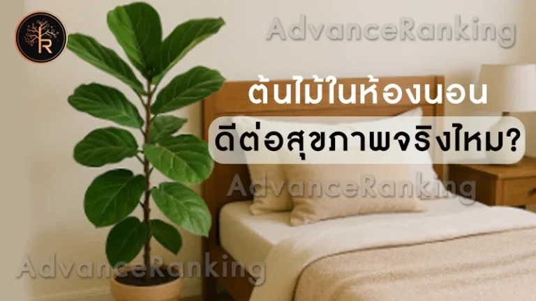 ต้นไม้ในห้องนอน ดีต่อสุขภาพจริงไหม