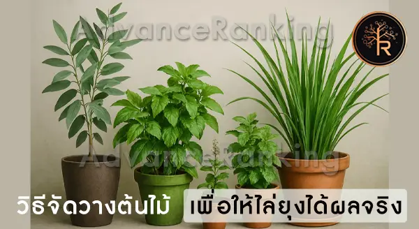 ต้นไม้ไล่ยุง ที่นิยมปลูก