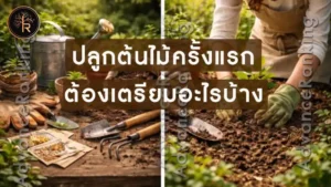 ปลูกต้นไม้ครั้งแรก ต้องเตรียมอะไรบ้าง