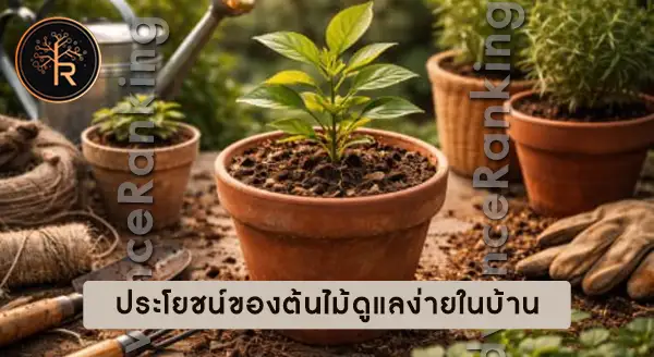 ปลูกต้นไม้ครั้งแรก ต้องเตรียมอะไรบ้าง