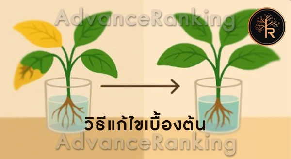ปลูกต้นไม้ในน้ำแล้วใบเหลือง แก้ยังไง