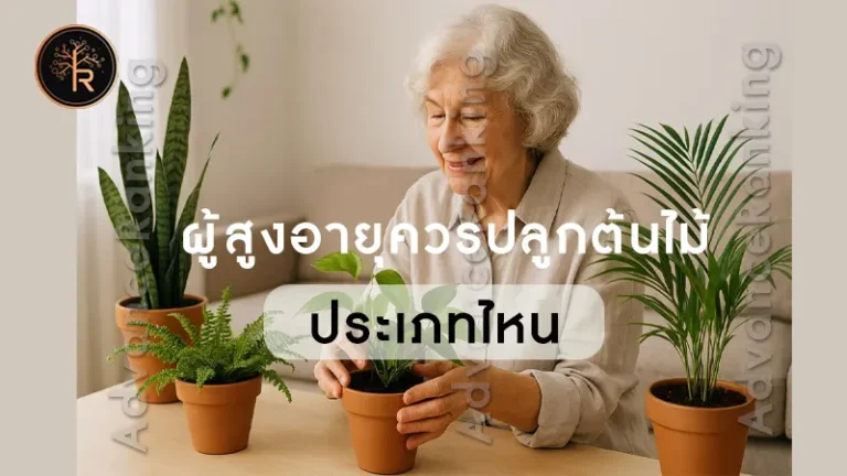 ผู้สูงอายุควรปลูกต้นไม้ ประเภทไหน