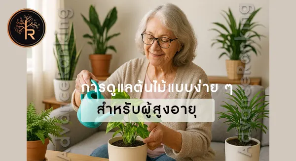 ผู้สูงอายุควรปลูกต้นไม้ ประเภทไหน