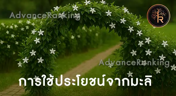 มะลิ ดอกหอมแรง