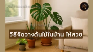 วิธีจัดวางต้นไม้ในบ้าน ให้สวย