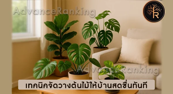 วิธีจัดวางต้นไม้ในบ้าน ให้สวย