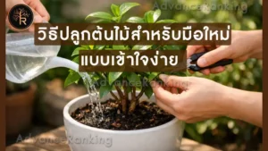 วิธีปลูกต้นไม้สำหรับมือใหม่ แบบเข้าใจง่าย