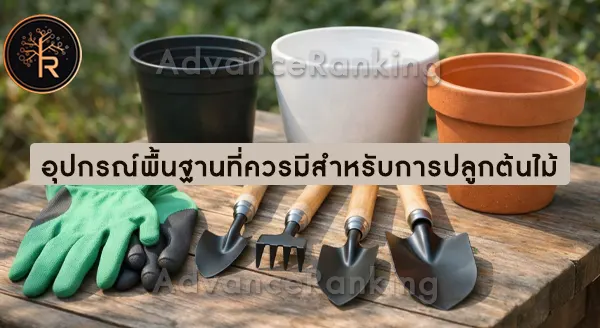 วิธีปลูกต้นไม้สำหรับมือใหม่ แบบเข้าใจง่าย