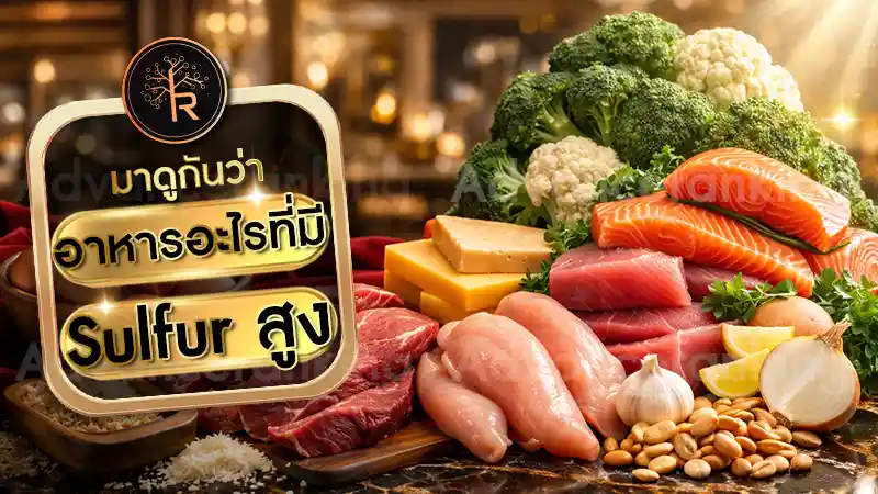 อาหารอะไรที่มี Sulfur สูง